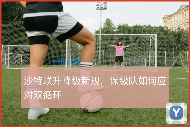 沙特联升降级新规,保级队如何应对双循环