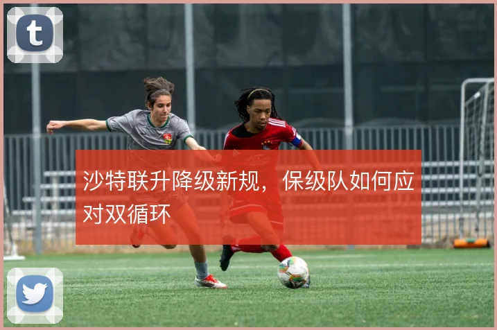 沙特联升降级新规,保级队如何应对双循环