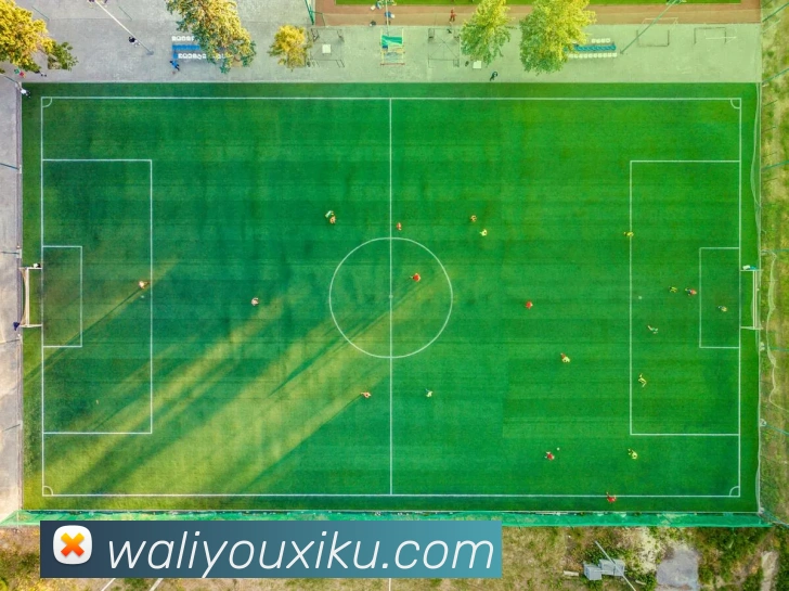 电竞数据